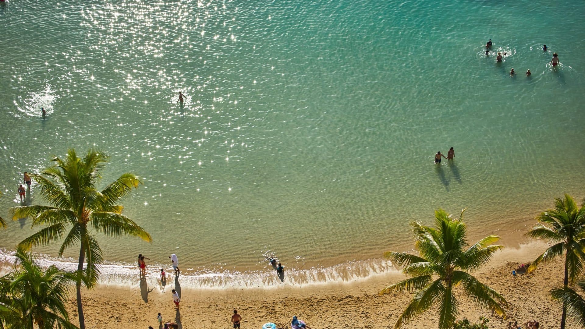 A scenic photo of Waikiki Beach with families and friends enjoying the sand, with coconut and palm trees, showcasing a great people-watching spot.
