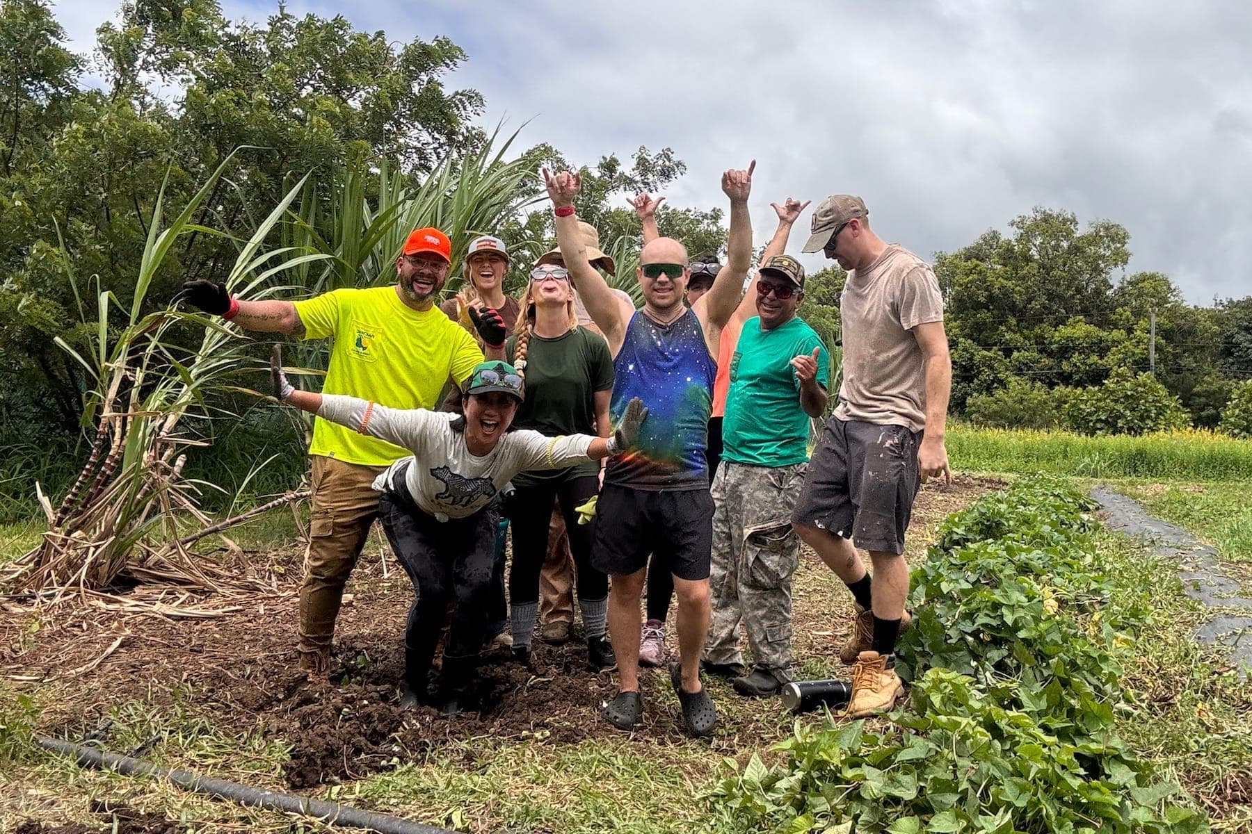 Tiki's Grill & Bar managers and staff having fun while cleaning up a sugar cane and sweet potato patch at Go Farm, showcasing their commitment to local agriculture.